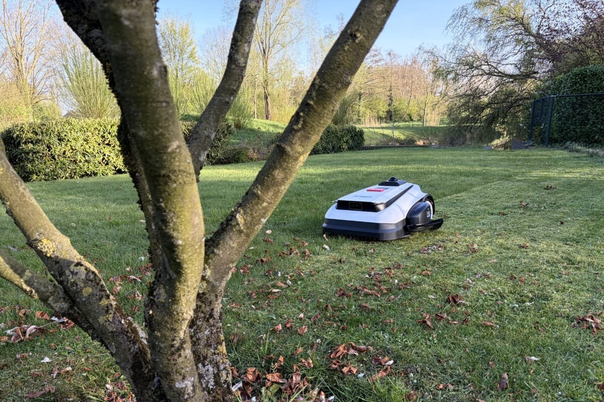 Robotmaaier in grote achtertuin, op het gras.