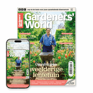 afbeelding voor non_subscriber