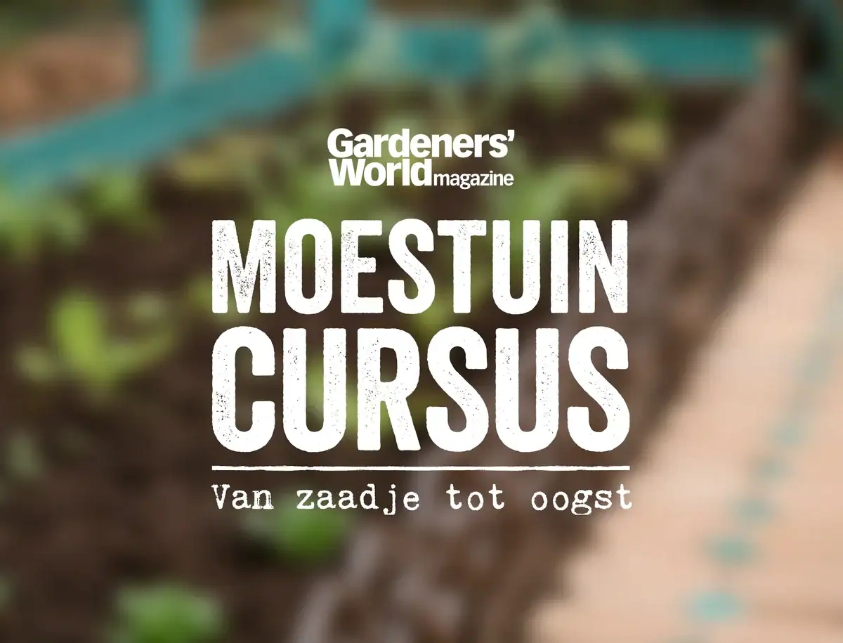 Cover van 