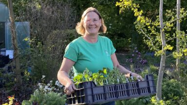 Giny de Jong houdt een tray met planten vast in de tuin.