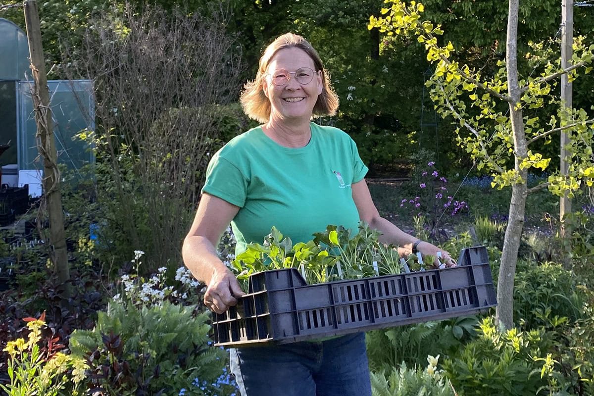Giny de Jong houdt een tray met planten vast in de tuin.