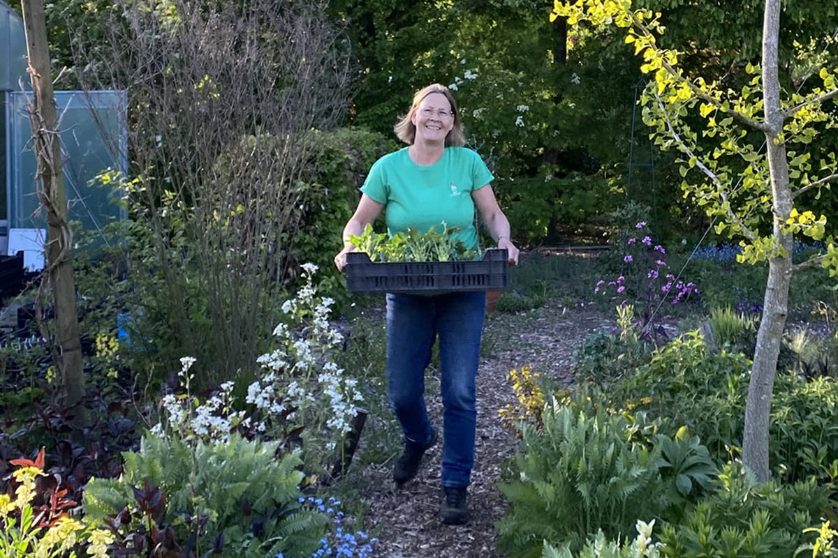 Giny de Jong houdt een tray met planten vast en loopt door haar tuin.