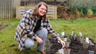 Hester plant een nieuwe border aan in haar tuin.