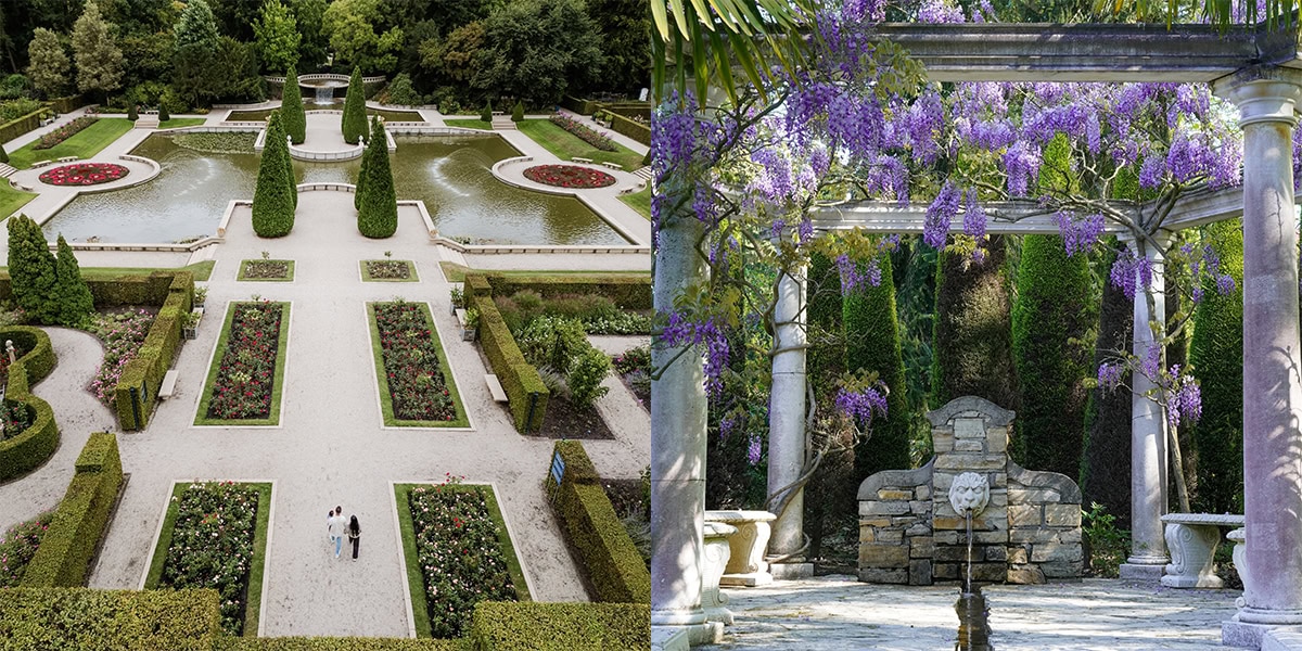 Twee foto's in één: links uitzicht van bovenaf op rosarium, rechts blauweregen in de tuin