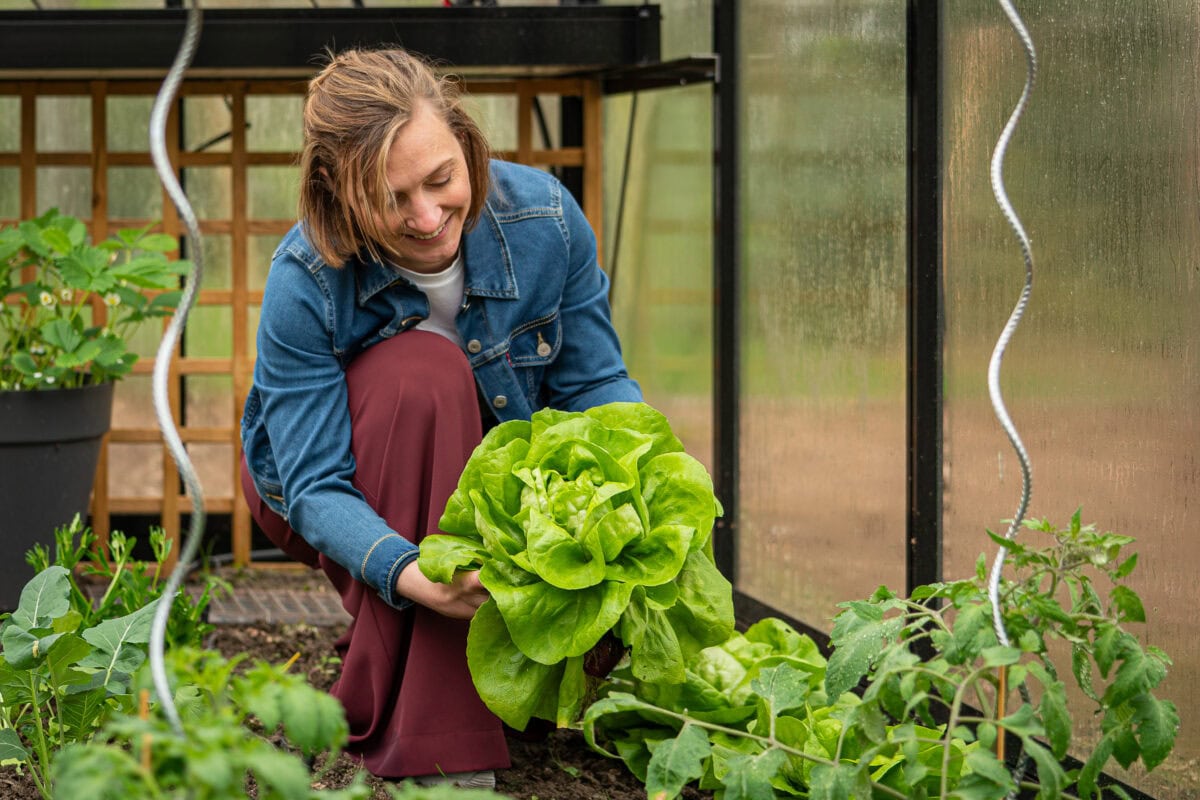 Joke oogst grote kroppen sla uit haar serre.