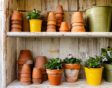 Zinken en terracotta potten opgestapeld in een houten kast, met viooltjes in potten erbij.