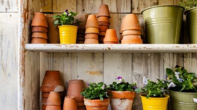 Zinken en terracotta potten opgestapeld in een houten kast, met viooltjes in potten erbij.