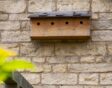 Nestkast aan de muur met 4 openingen en 4 broedkamers