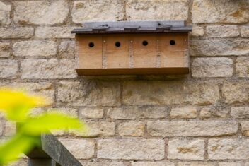 Nestkast aan de muur met 4 openingen en 4 broedkamers