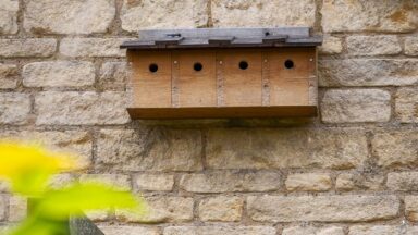 Nestkast aan de muur met 4 openingen en 4 broedkamers
