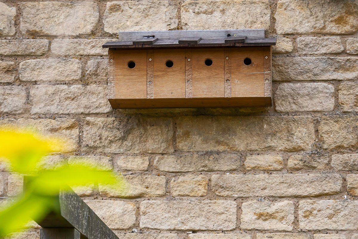 Nestkast aan de muur met 4 openingen en 4 broedkamers