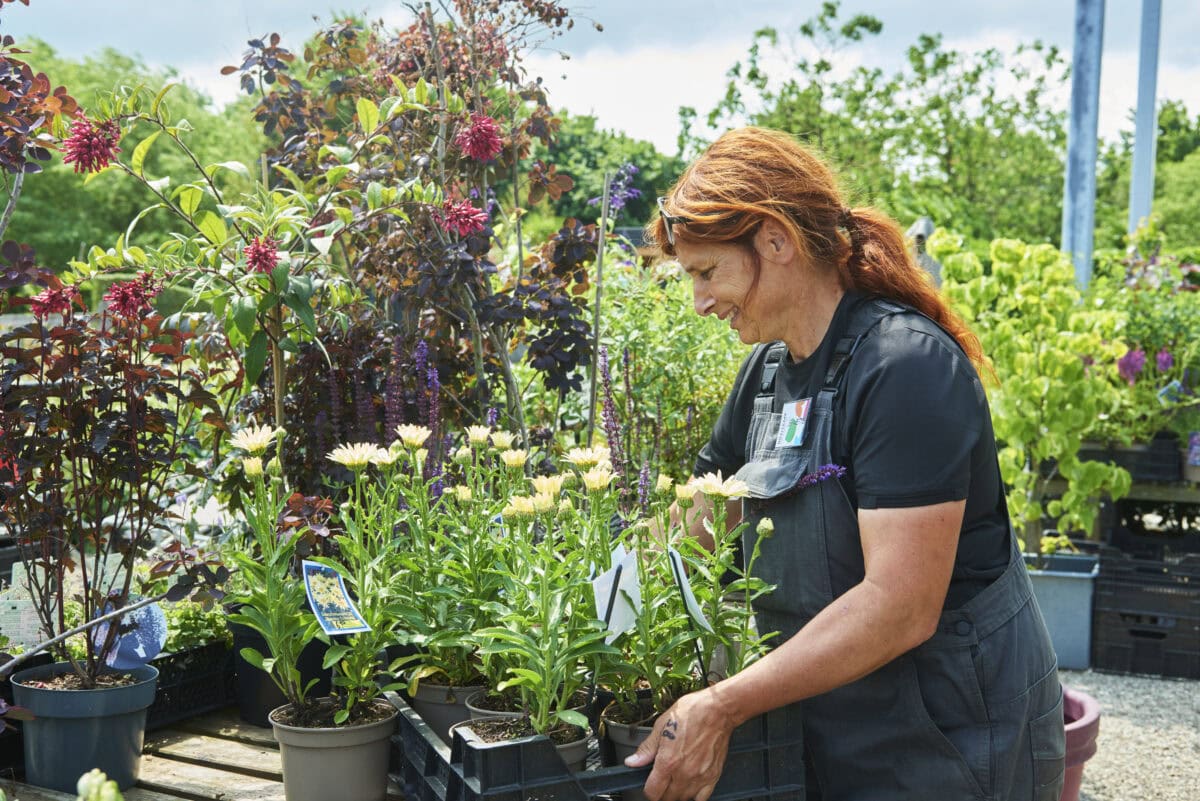 Vrouw zet planten buiten.