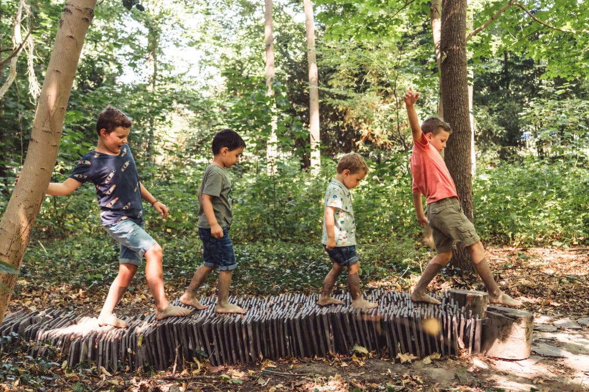 Kinderen lopen in een rij over het blotevoetenpad in Plantentuin Meise.