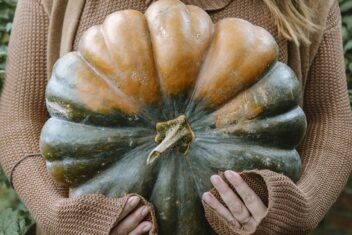 Vrouw draagt een grote pompoen in haar armen.