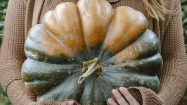 Vrouw draagt een grote pompoen in haar armen.