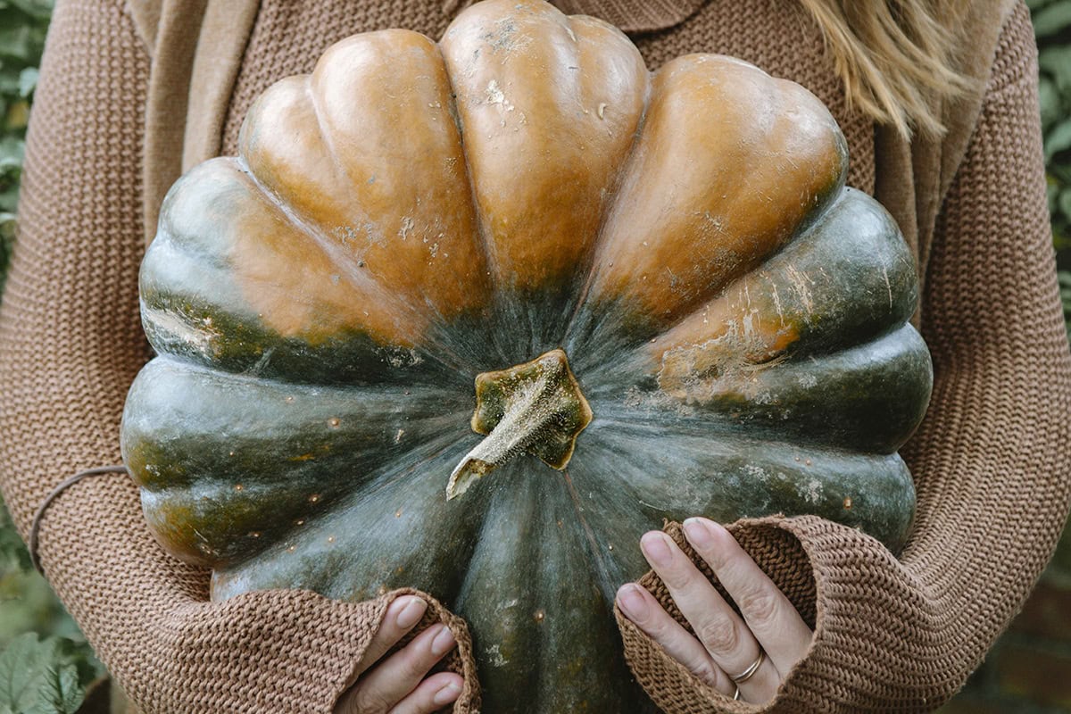 Vrouw draagt een grote pompoen in haar armen.