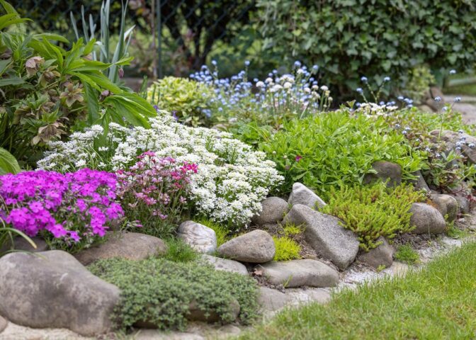 Een rotstuin met bloeiende planten