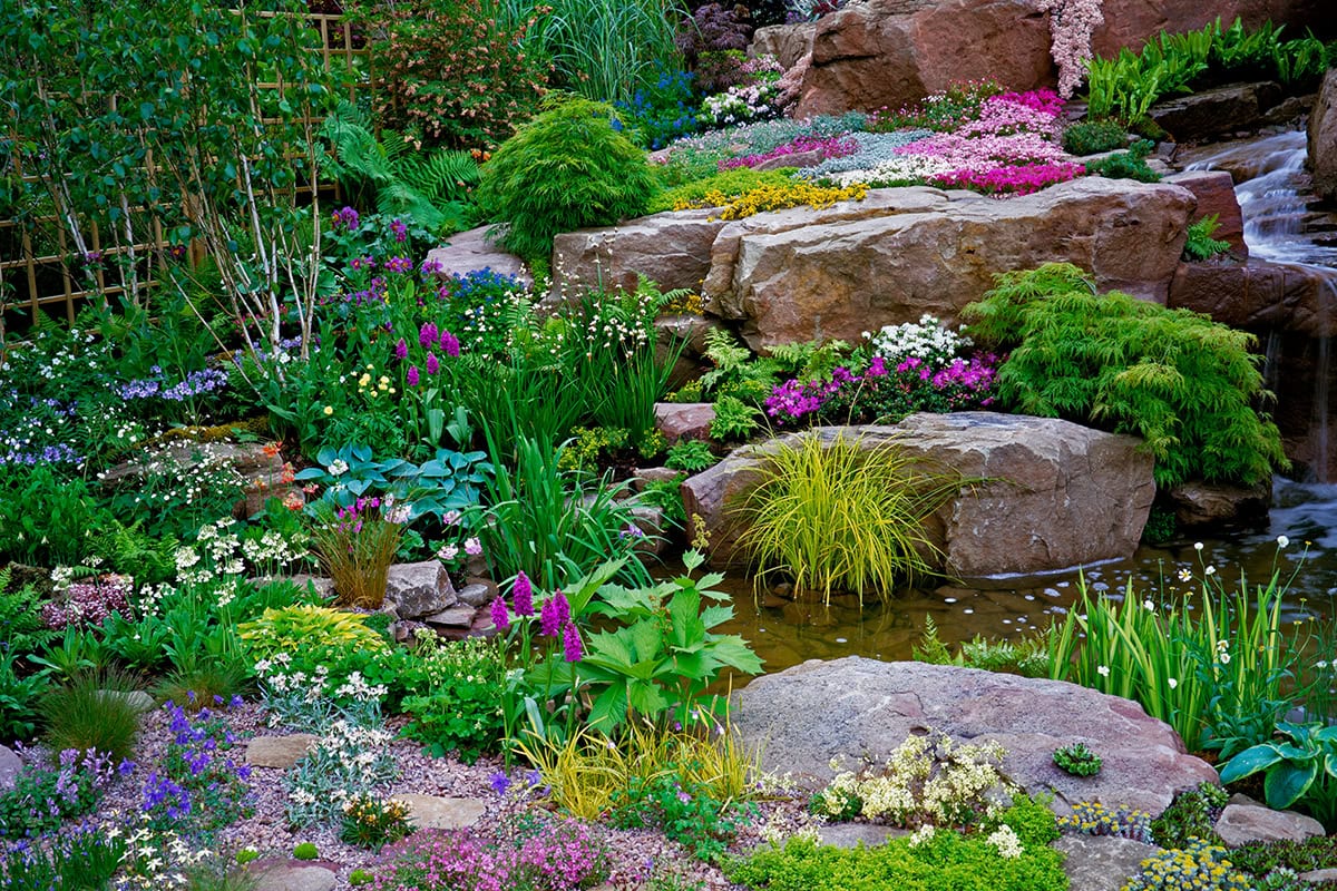 Rotstuin met een waterpartij.