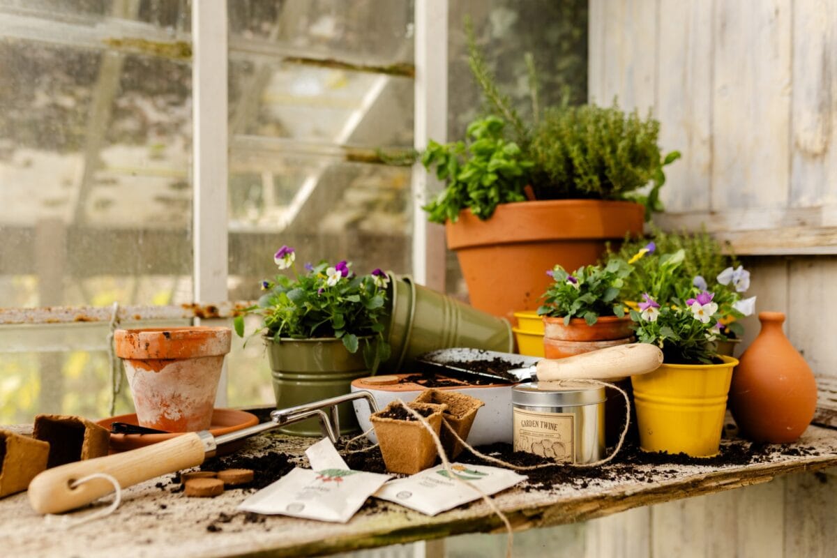 Een werkbank met tuingereedschap, lege potten en potten met planten erin.