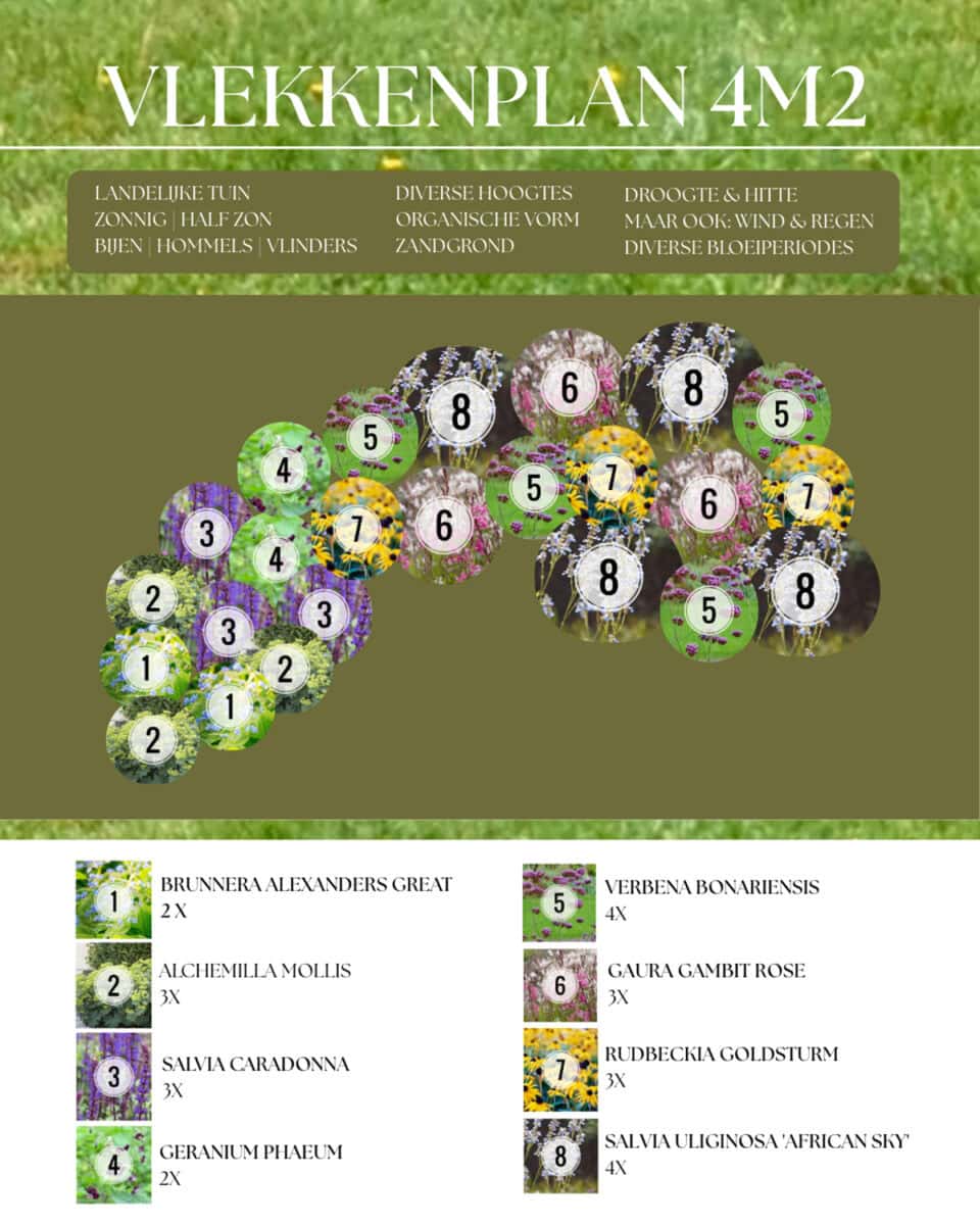Vlekkenplan voor 4m2 van Hester