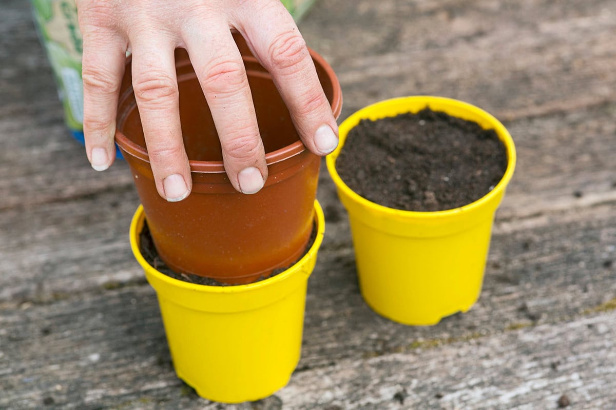 hand drukt potje in ander potje met aarde