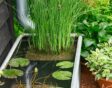 Vijverbak met regenpijp en planten