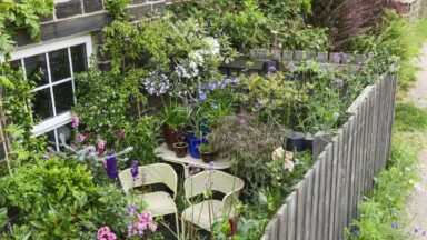 schutting hoogte rondom kleine tuin