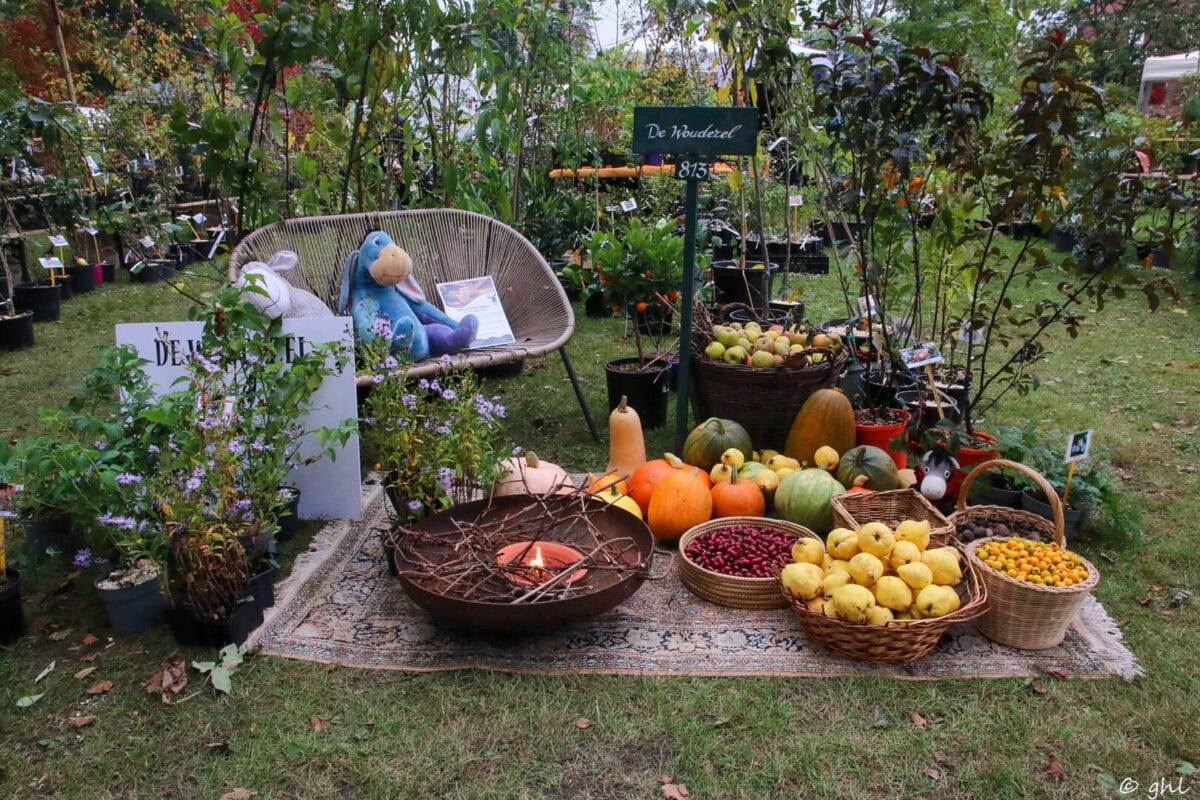 Foto van lekkernijen op een stand op de plantenmarkt