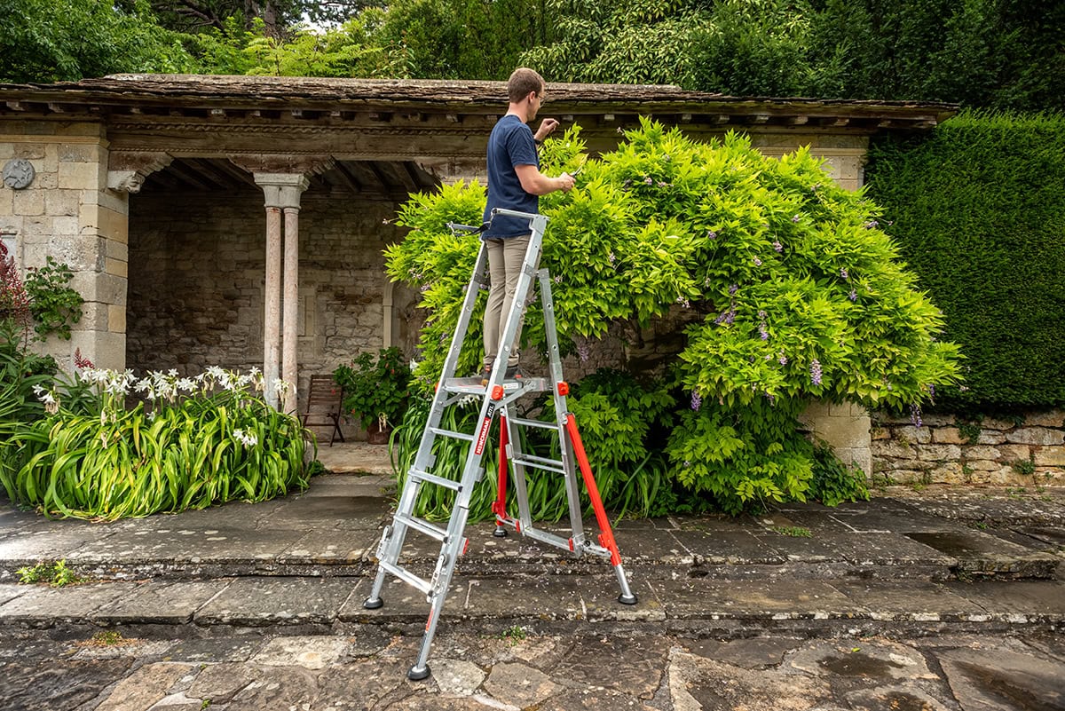 man op ladder bij struik