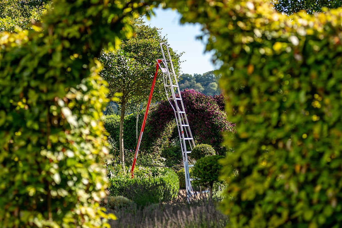 Ladder staat in tuin bij boom en zie je door heg heen