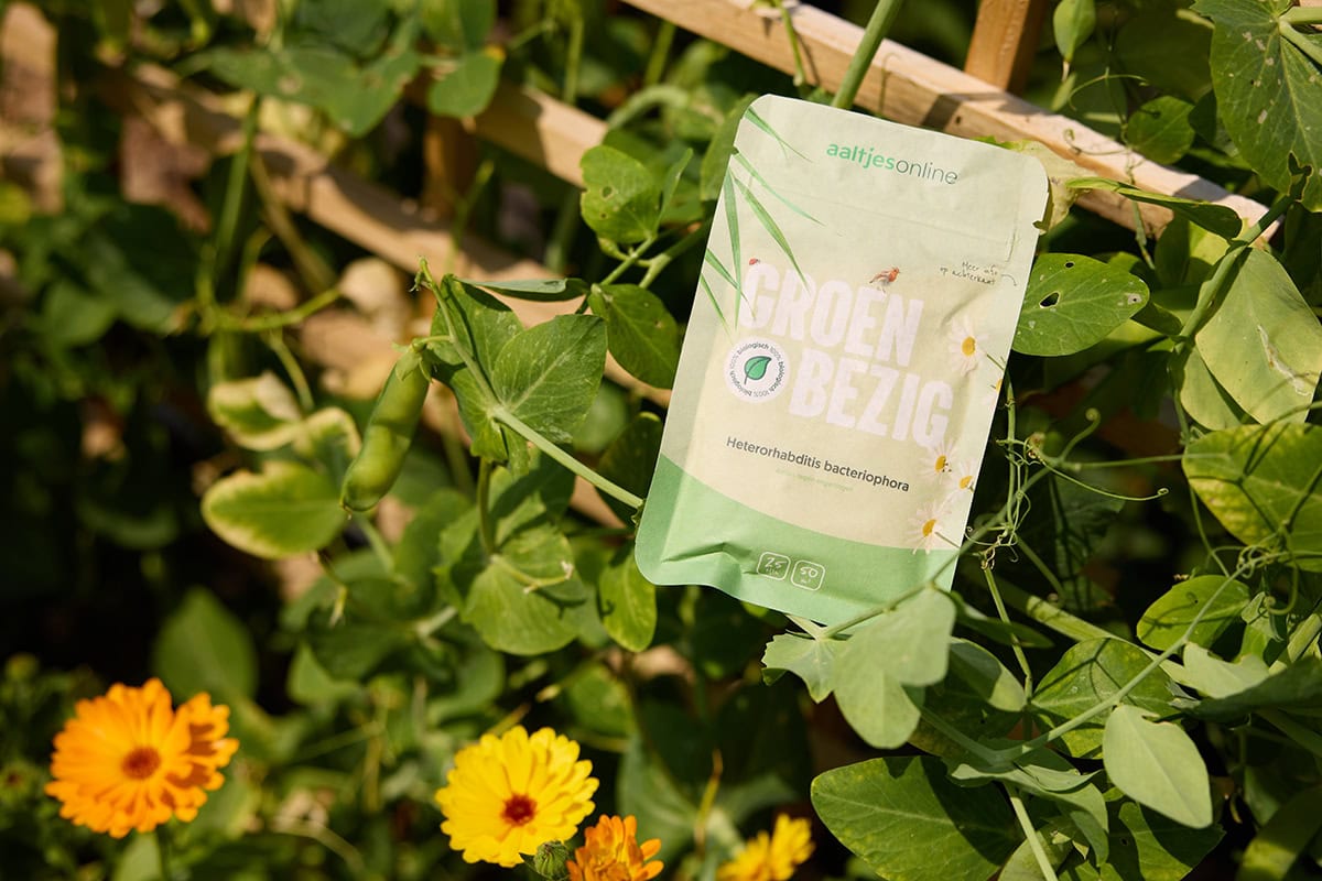zakje met aaltjes op moestuinplanten gelegd