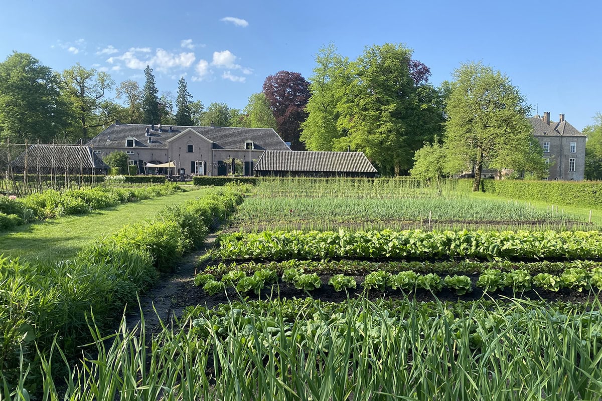 Moestuin en gebouw bij De Keuken van Hackfort.