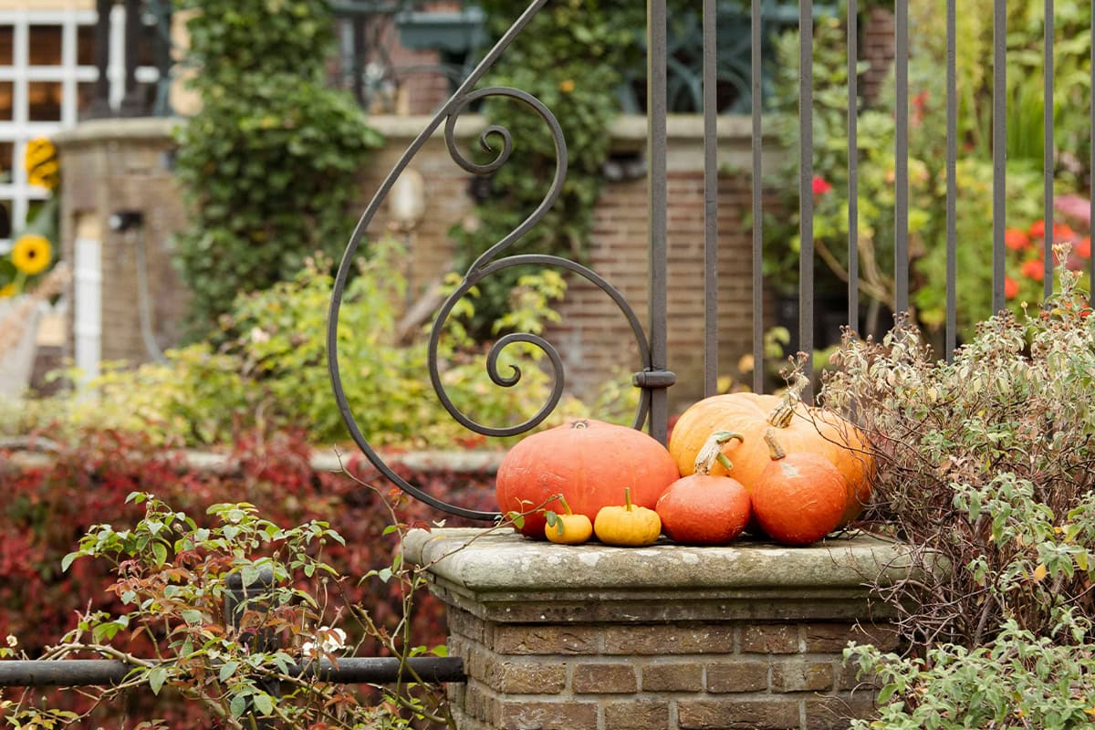 Pompoenen op een stenen pilaar voor een hekwerk.