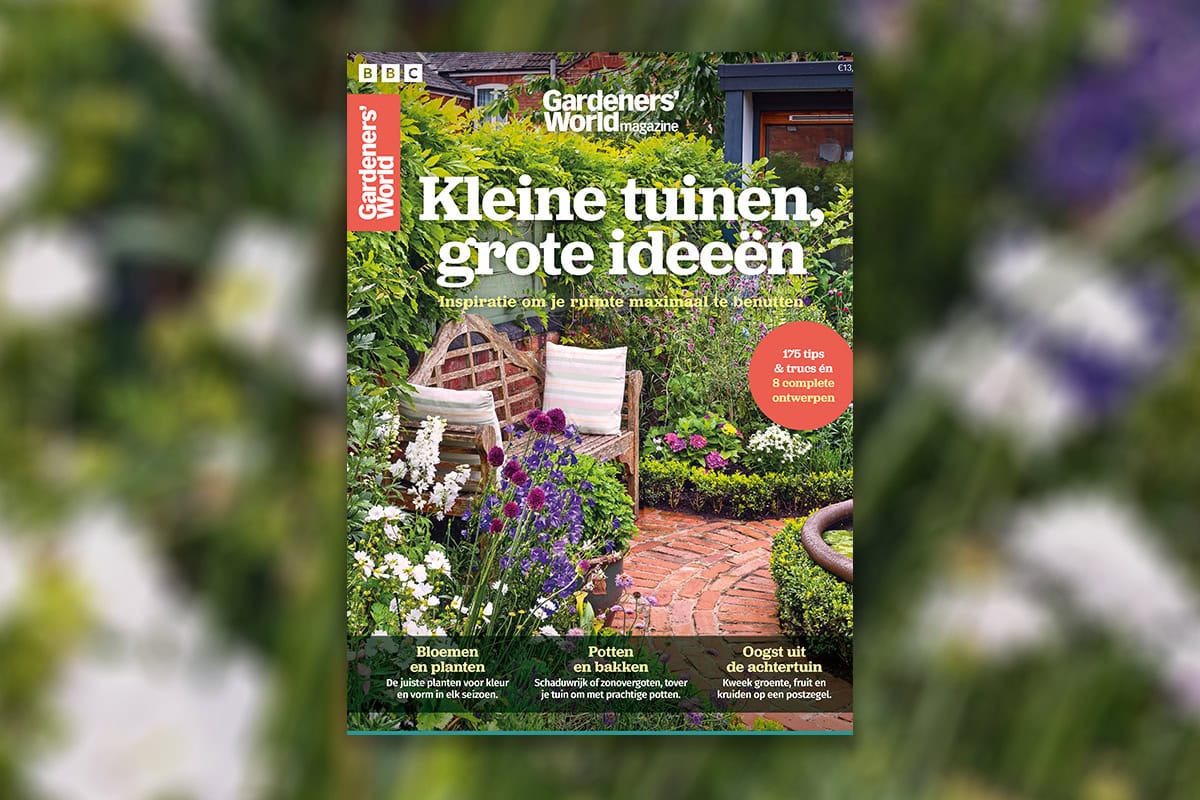Cover van uitgave Kleine tuinen, grote ideeën