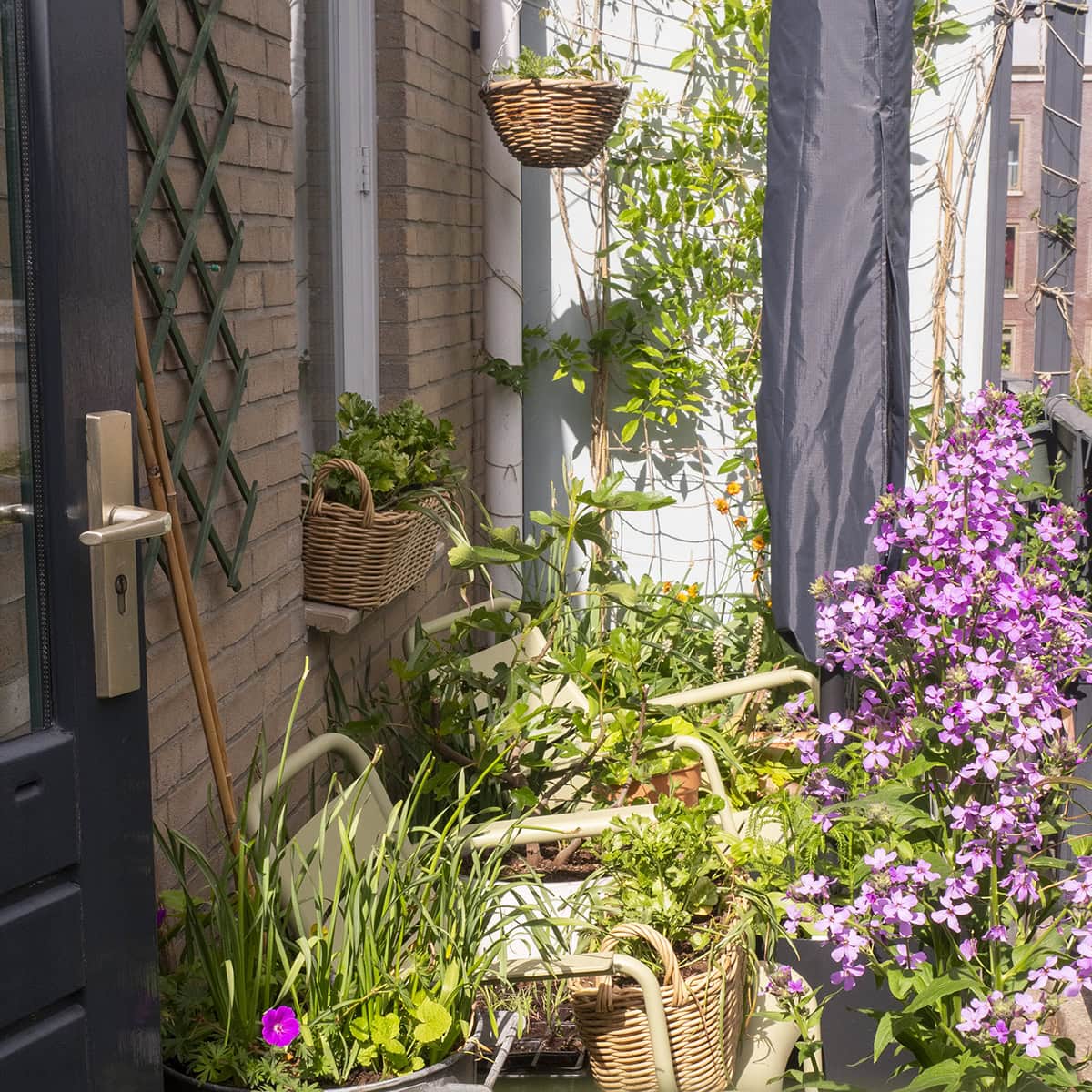 Balkontuin met bloeiende planten.