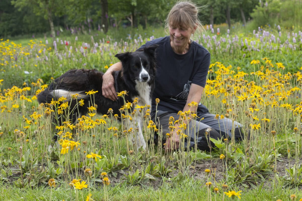 Kweker zit in bloemenveld met hond.