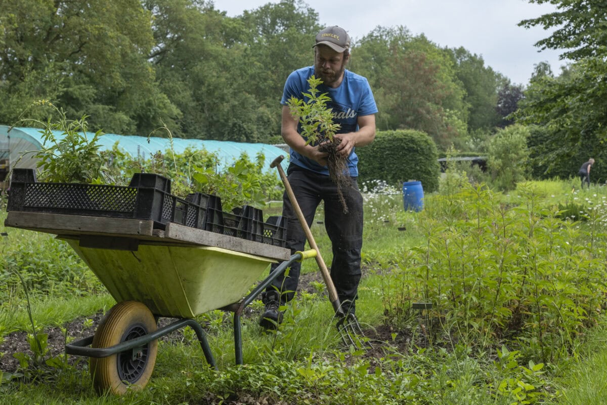 Kweker en planten i neen kruiwagen.