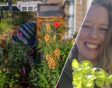 Rechts: lachende Anne met sla-plantje. Links: bloeiende balkonplanten.