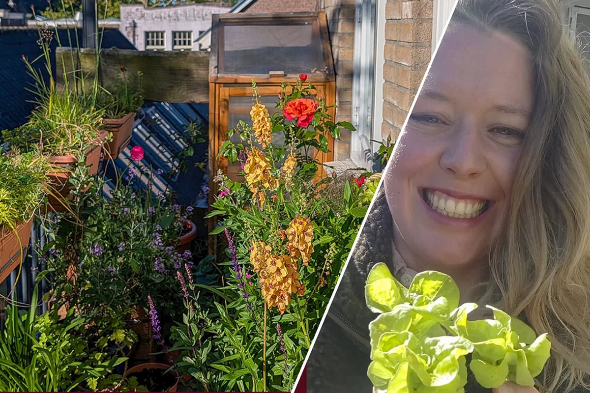 Rechts: lachende Anne met sla-plantje. Links: bloeiende balkonplanten.