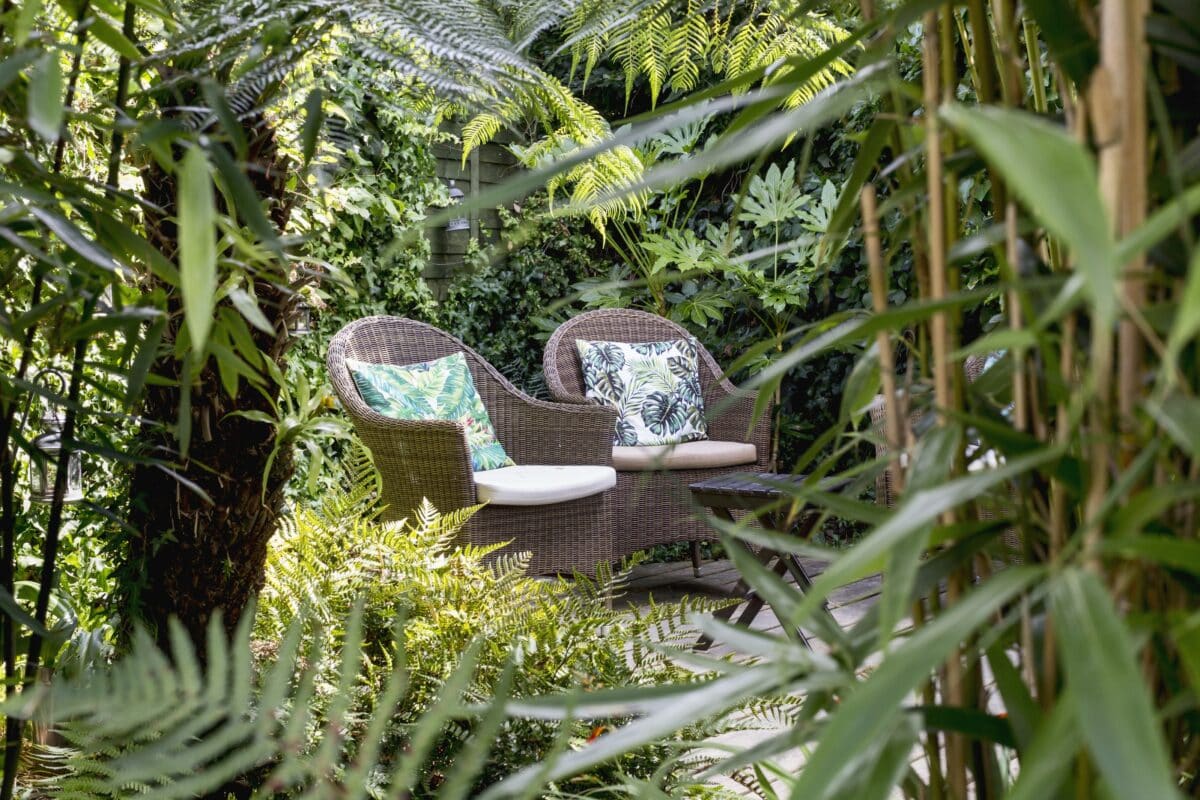 Een beschutte tuin met twee stoelen met kussens erin, omgeven door varens en ander groen.