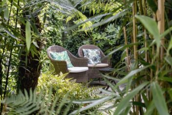 Een beschutte tuin met twee stoelen met kussens erin, omgeven door varens en ander groen.