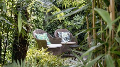 Een beschutte tuin met twee stoelen met kussens erin, omgeven door varens en ander groen.