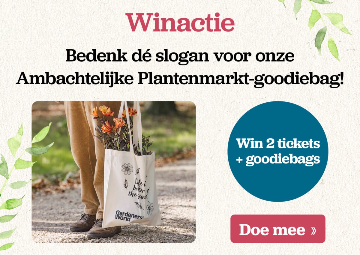 Afbeelding met informatie over de winactie opgesomd en de oproep om mee te doen.