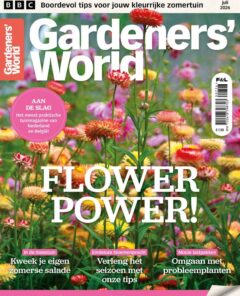 Cover van 