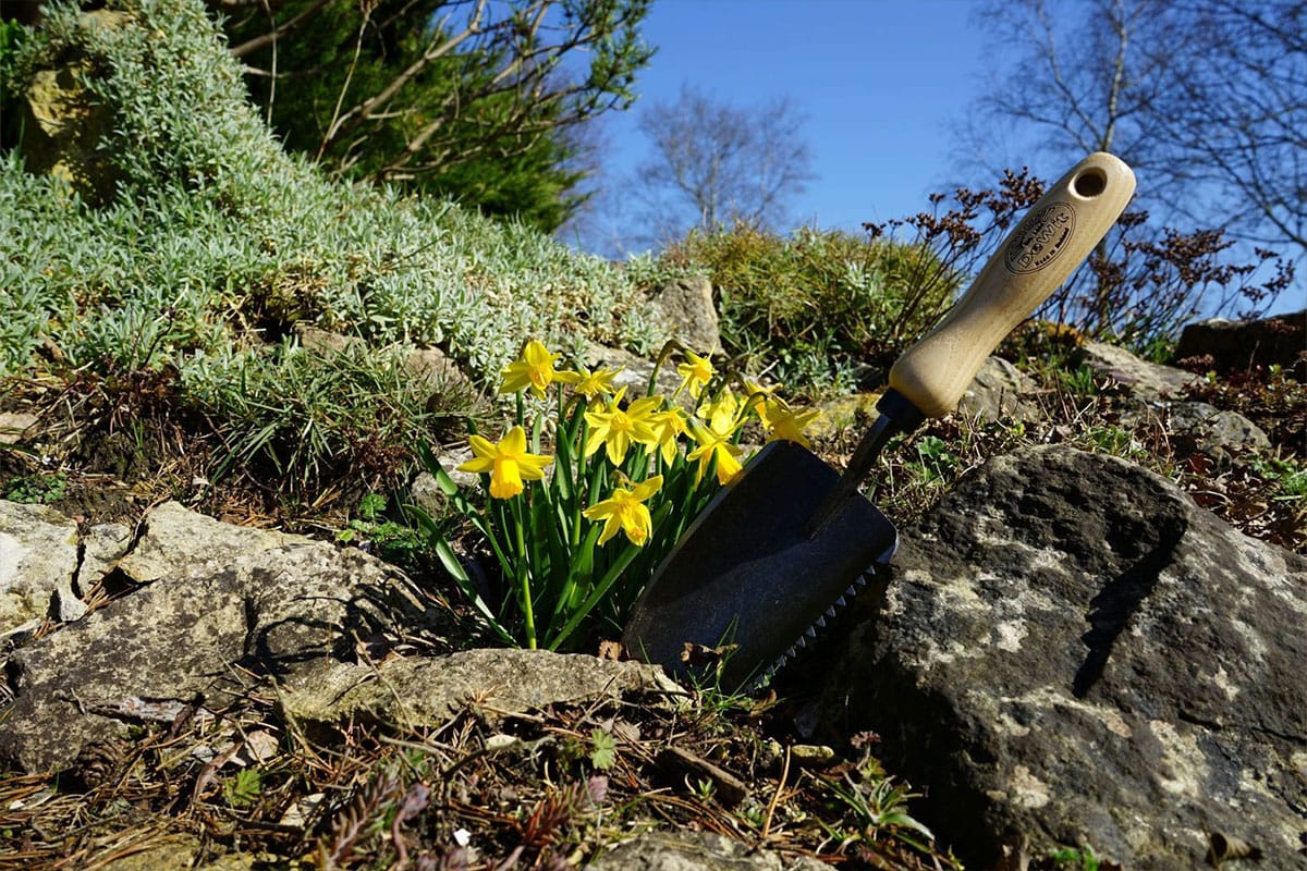 Schepje met karelrand staat in de grond in de tuin.