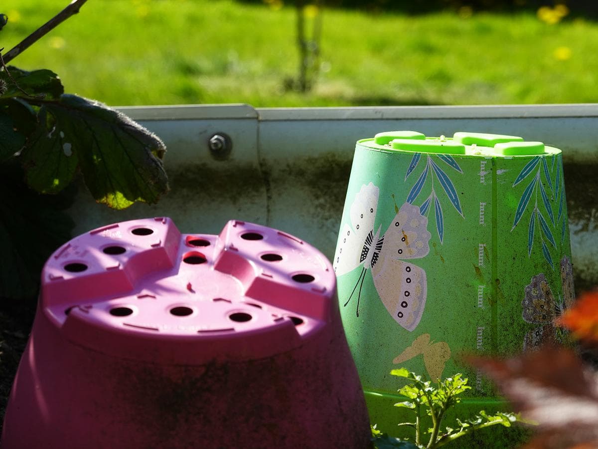 groene en roze omgekeerde kweekpotten