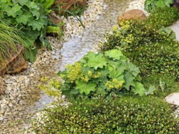 wadi aanleggen met kiezels en planten
