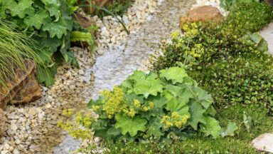 wadi aanleggen met kiezels en planten
