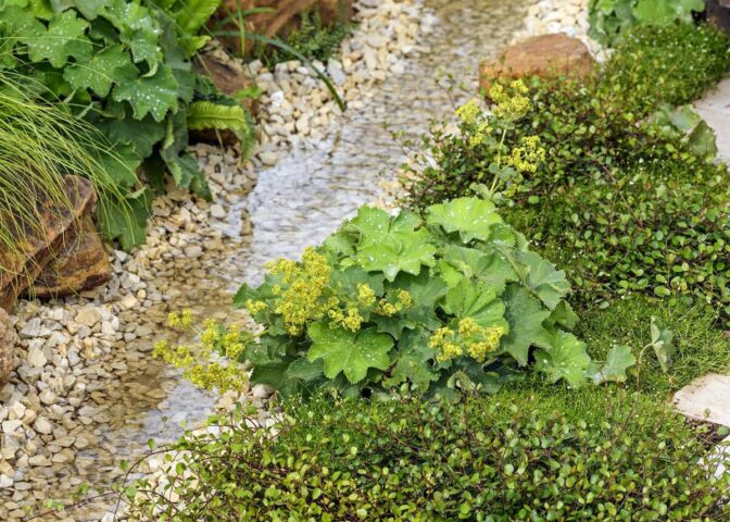 wadi aanleggen met kiezels en planten