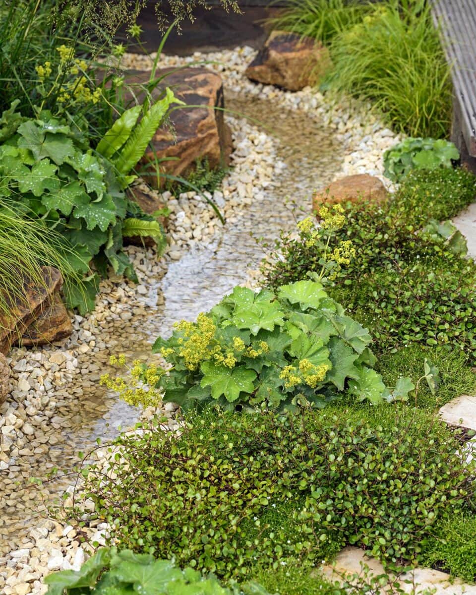 wadi in de tuin